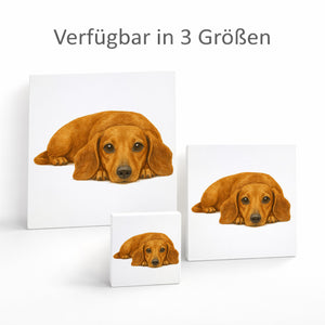 Dackelträume Dackel Illustration Holzbild in 10x10 cm zum Stellen oder Aufhängen
