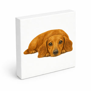 Dackelträume Dackel Illustration Holzbild in 10x10 cm zum Stellen oder Aufhängen