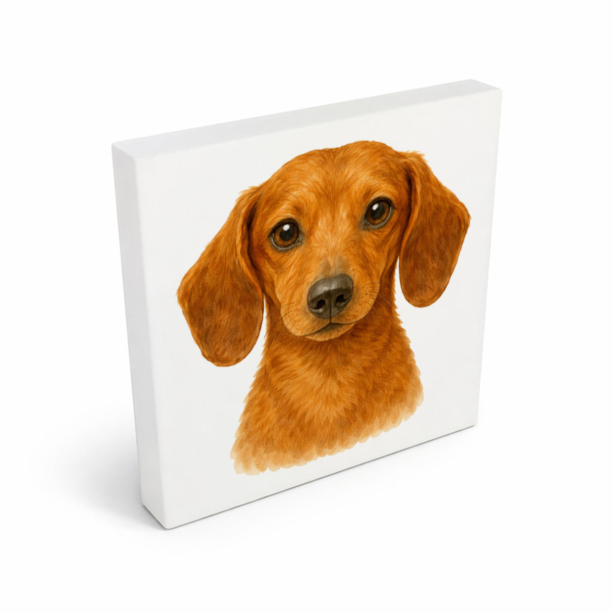 Dackelträume Dackel Portrait Holzbild in 10x10 cm zum Stellen oder Aufhängen