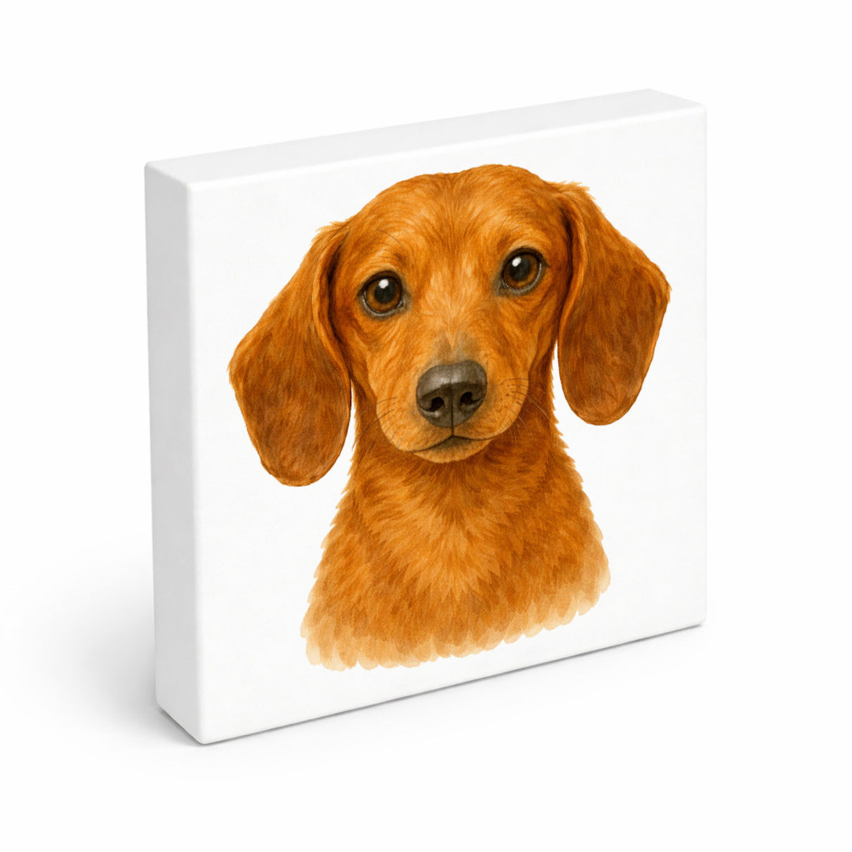 Dackelträume Dackel Portrait Holzbild in 10x10 cm zum Stellen oder Aufhängen