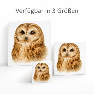 Luft Könige Eulen Porträt Holzbild in 10x10 cm zum Stellen oder Aufhängen