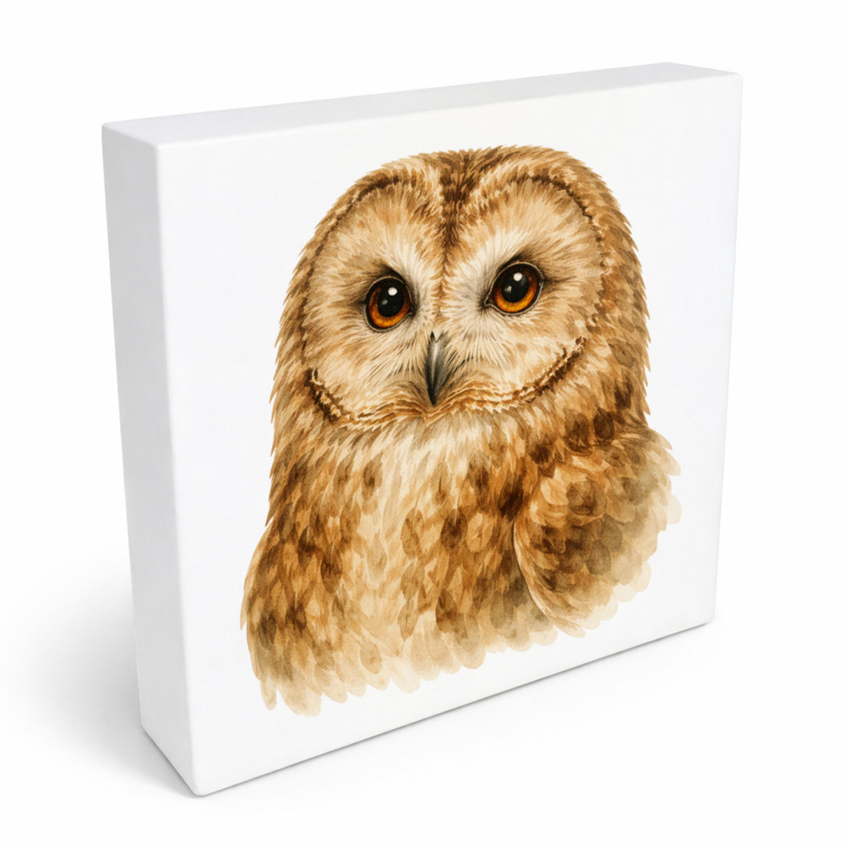 Luft Könige Eulen Porträt Holzbild in 10x10 cm zum Stellen oder Aufhängen