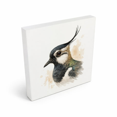 Vogelparade Kiebitz Porträt Holzbild in 10x10 cm zum Stellen oder Aufhängen