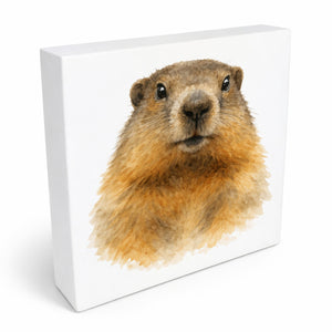 Murmeltier-Charm Murmeltier Porträt Holzbild in 10x10 cm zum Stellen oder Aufhängen