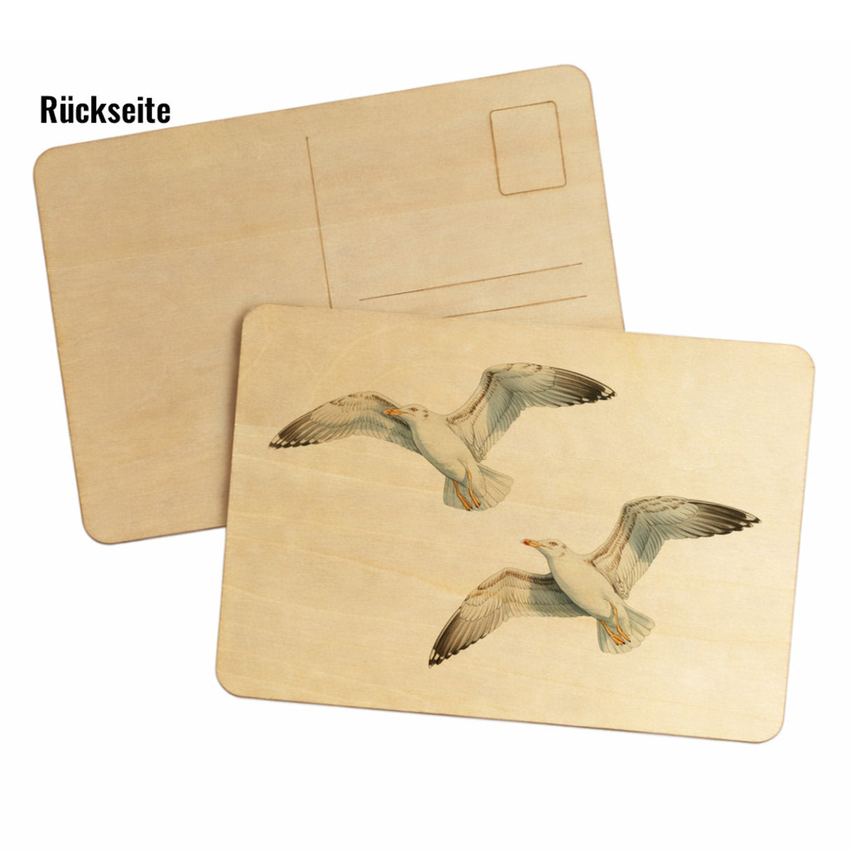Möwen im Flug Postkarte aus Holz maritim