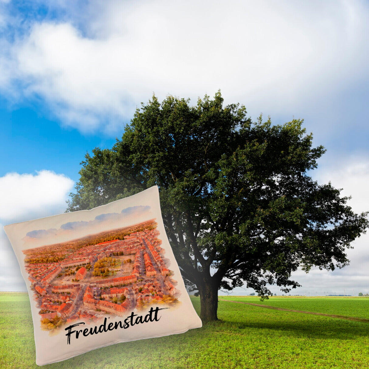 Freudenstadt Kissen Luftbild Aquarell