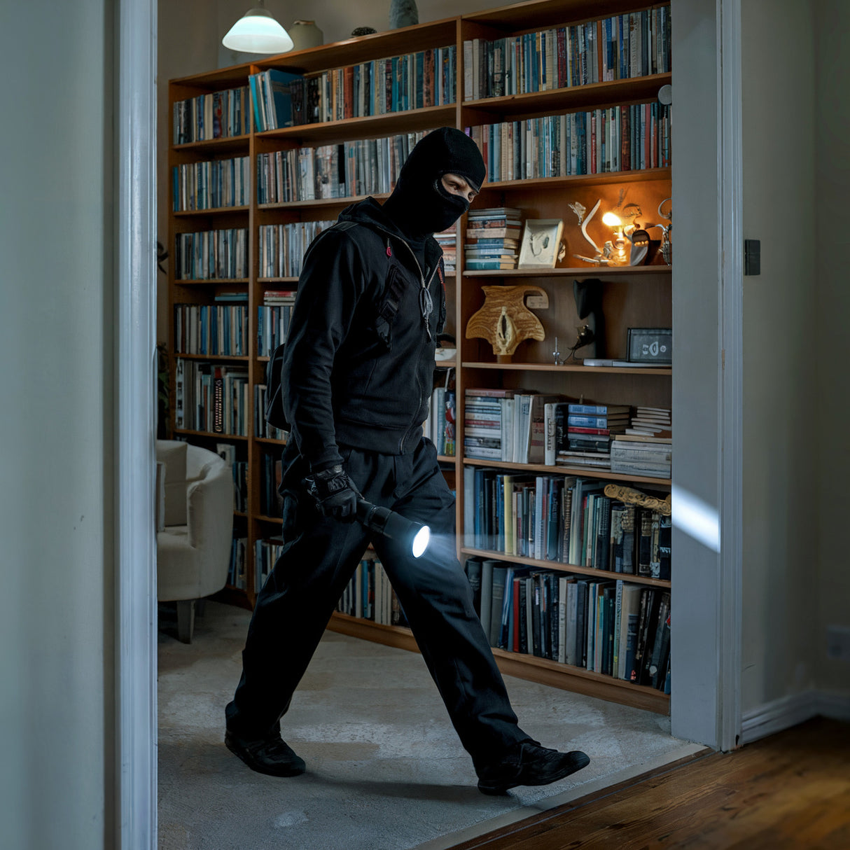 Comic Fan Booksafe mit Spruch: European Comics