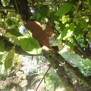 Eichhörnchen Dekoartikel für den Garten