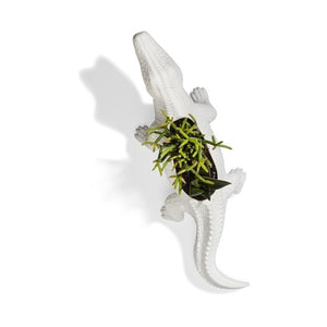 Krokodil Blumentopf aus Porzellan