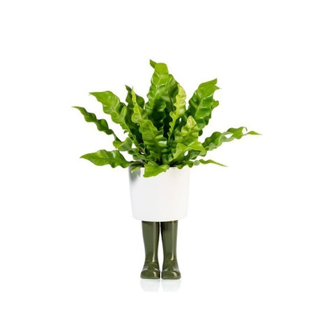 Gummistiefel Mini Blumentopf in grün