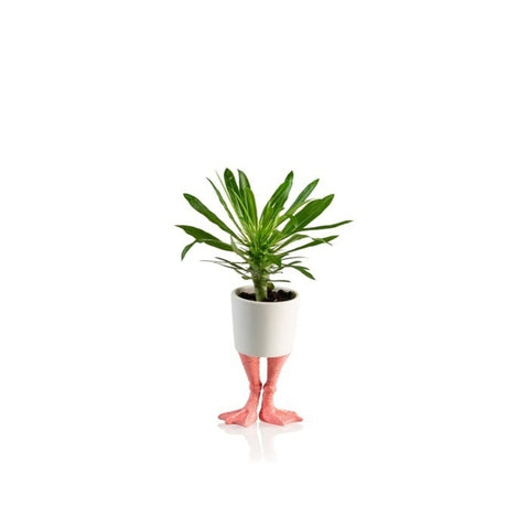 Flamingo Füße Mini Blumentopf aus Porzellan
