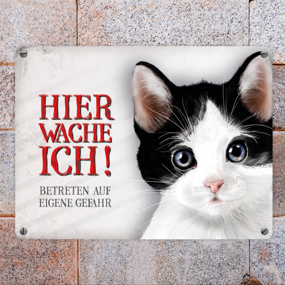 Metallschild mit Katze Motiv und Spruch: Betreten auf eigene Gefahr ...
