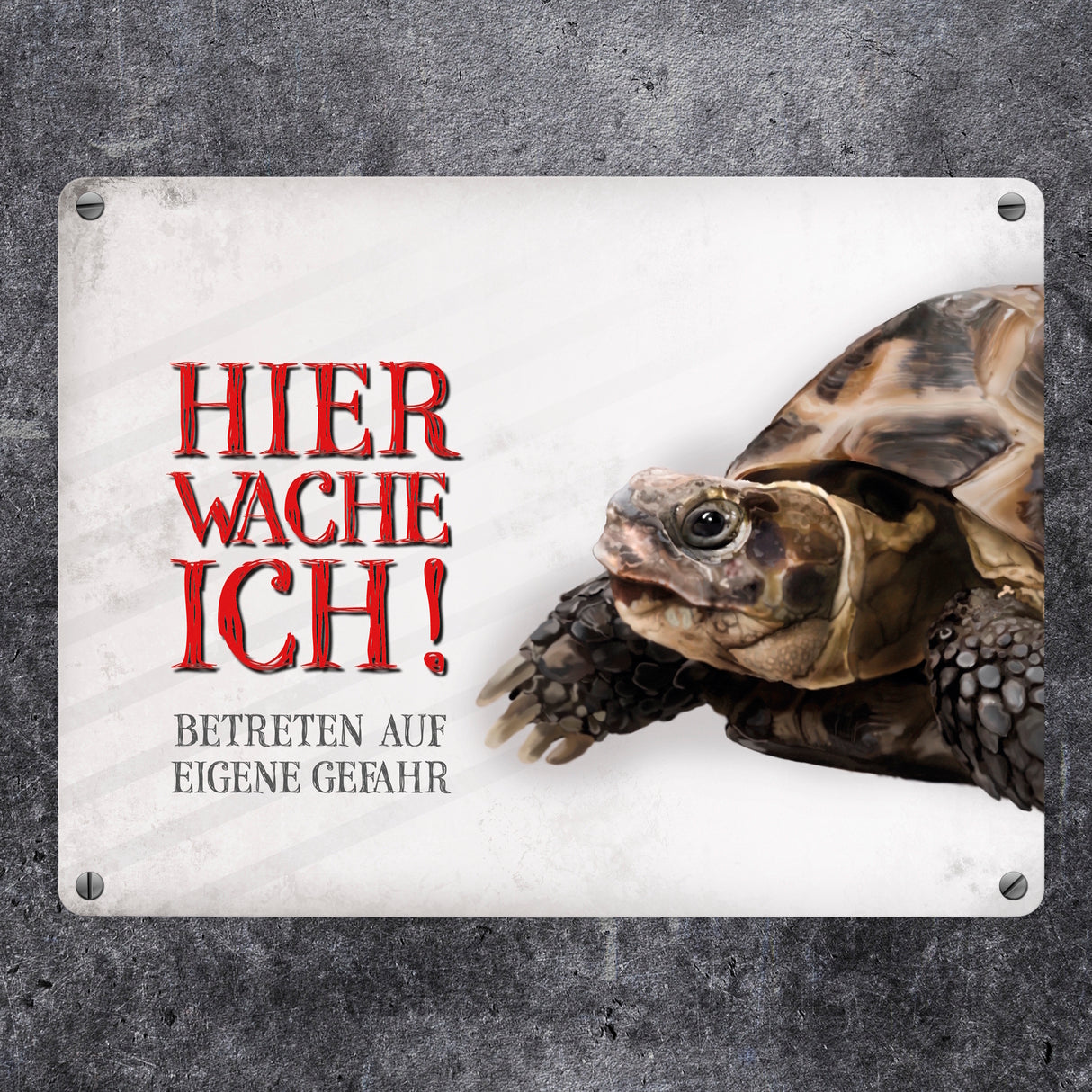 Metallschild mit Schildkröte Motiv und Spruch: Betreten auf eigene Gefahr ...