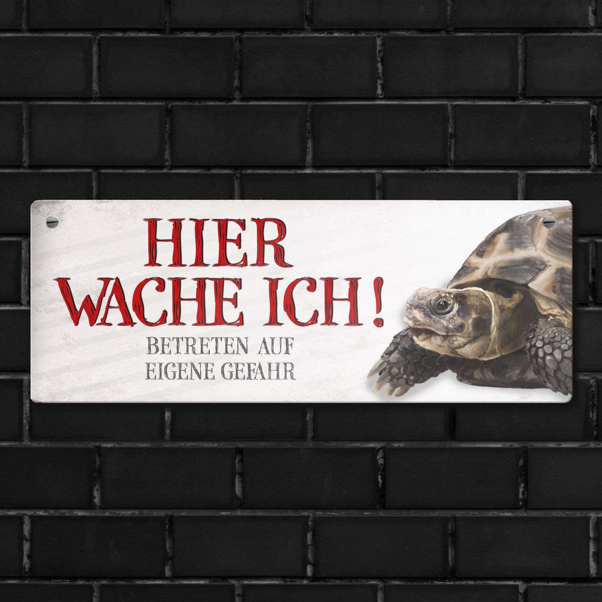 Metallschild mit Schildkröte Motiv und Spruch: Betreten auf eigene Gefahr ...