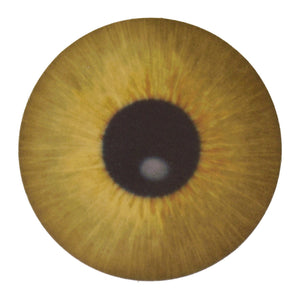 Die Auge Untersetzer aus Pappe im 12er Set