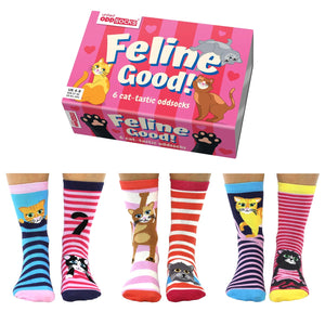 Feline Good Katzen Oddsocks Socken in 37-42 im 6er Set