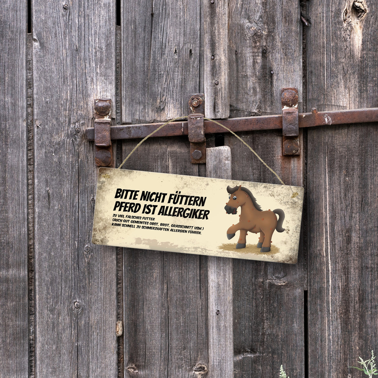 Metallschild mit braunem Pferd Motiv und Spruch: Bitte nicht füttern - Allergiker