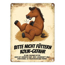Metallschild mit Pferde Motiv und Spruch: Bitte nicht füttern - Kolik-Gefahr