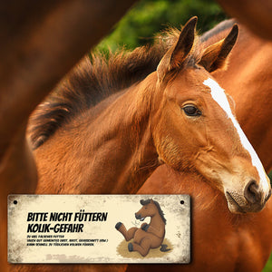 Metallschild mit braunem Pferd Motiv und Spruch: Bitte nicht füttern - Kolik-Gefahr