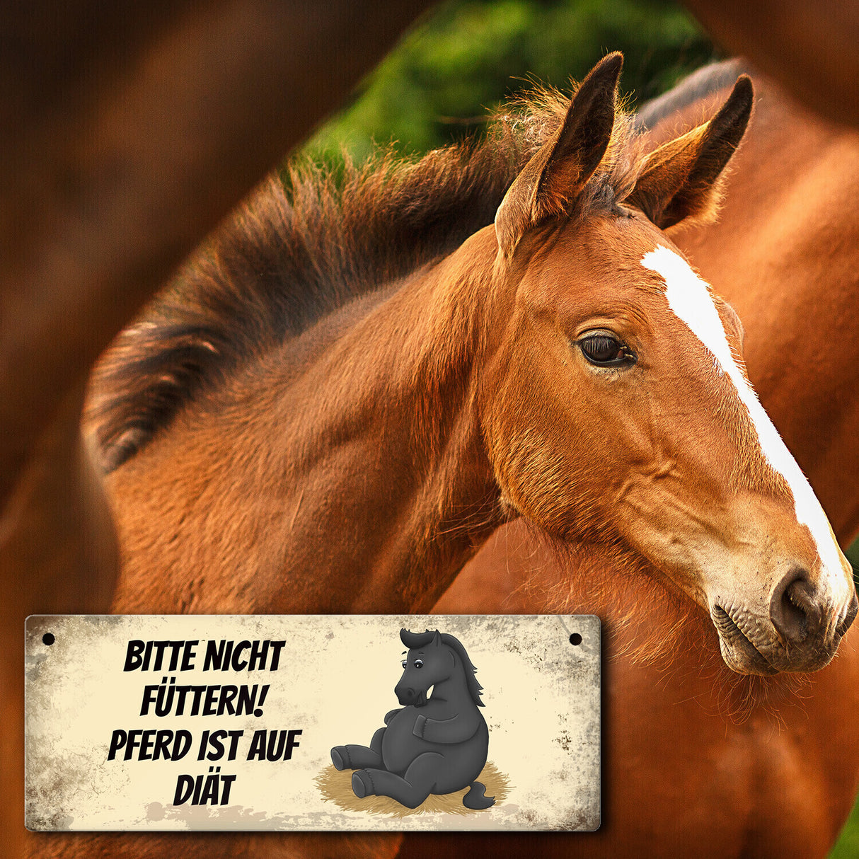 Metallschild mit schwarzem Pferd Motiv und Spruch: Bitte nicht füttern - Diät