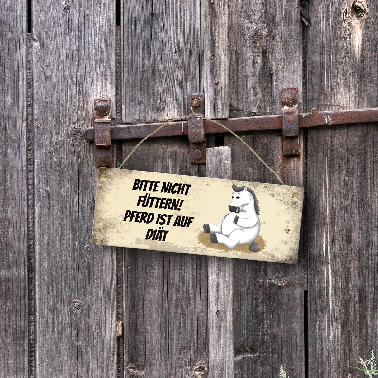 Metallschild mit weißem Pferd Motiv und Spruch: Bitte nicht füttern - Diät