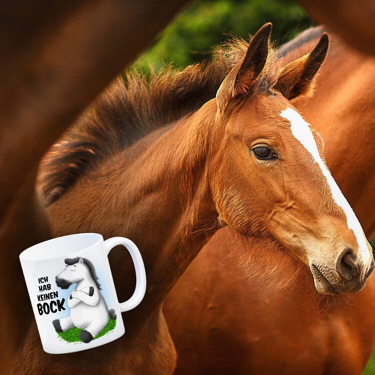 Kaffeebecher mit weißes Pferd Motiv und Spruch: Ich hab keinen Bock