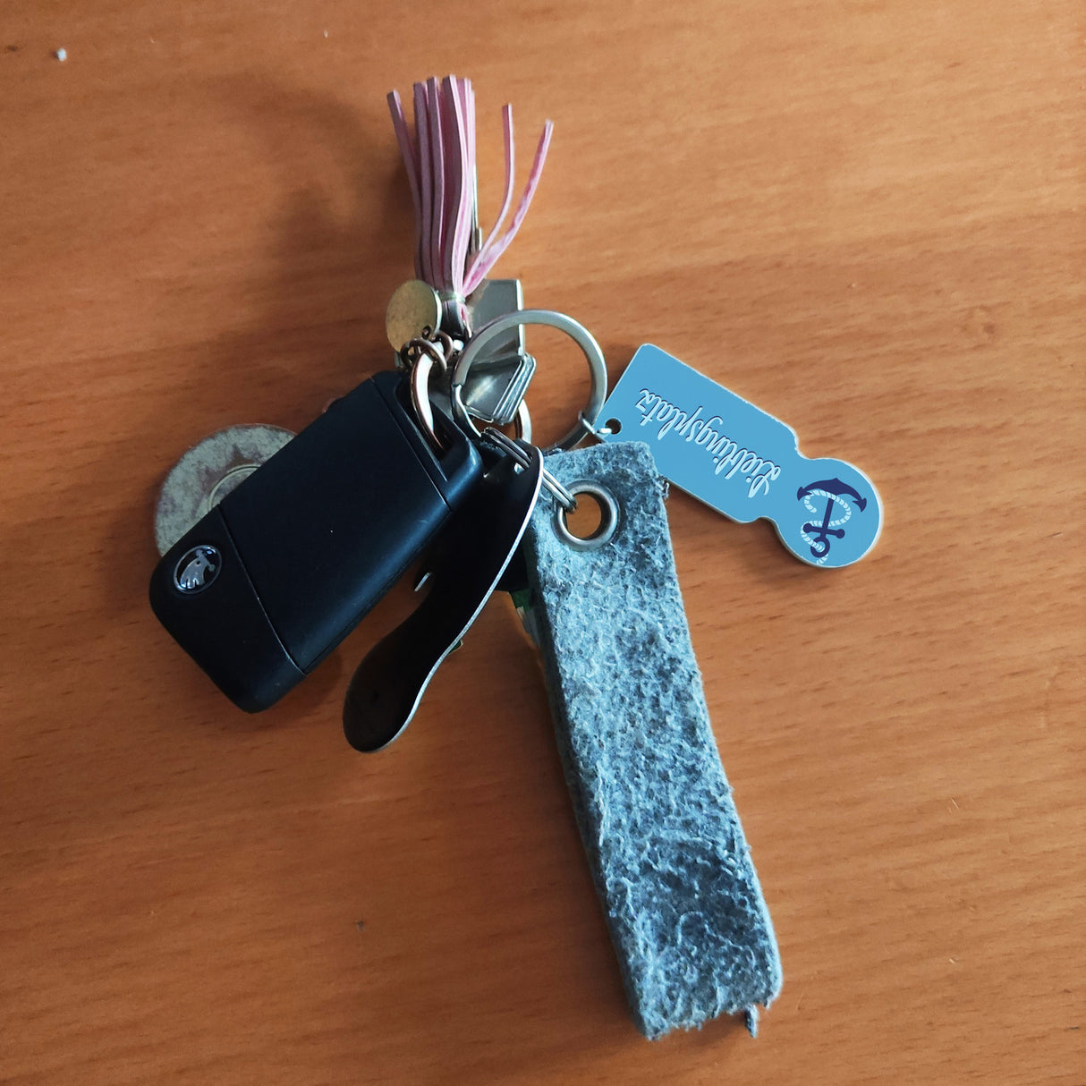 Lieblingsplatz Anker Einkaufswagenchip Schlüsselanhänger mit Kontaktfeld