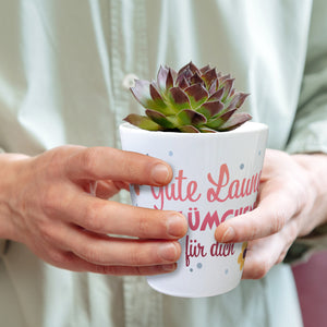Gute Laune Blümchen für dich Blumentopf aus Keramik