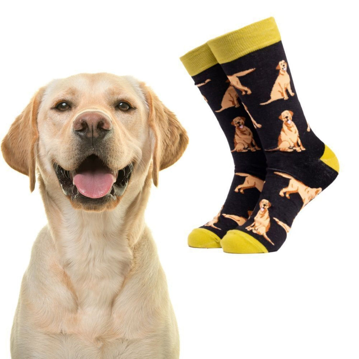 Labrador Hund Soctopus Socken in 43-46 im Paar