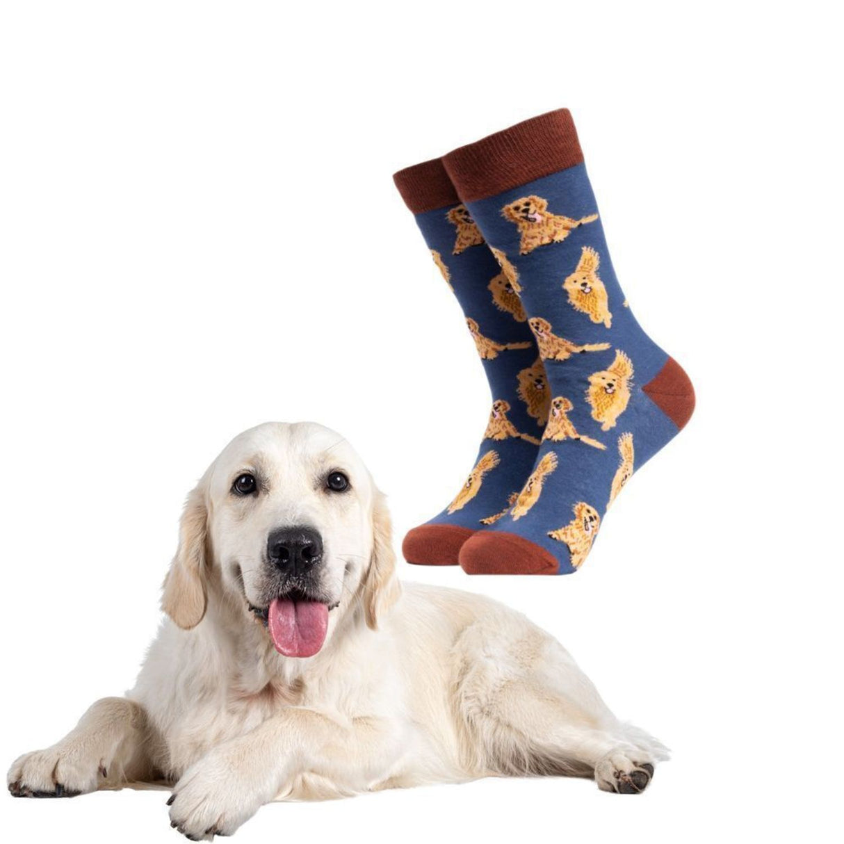 Golden Retriever Hund Soctopus Socken in 37-42 im Paar