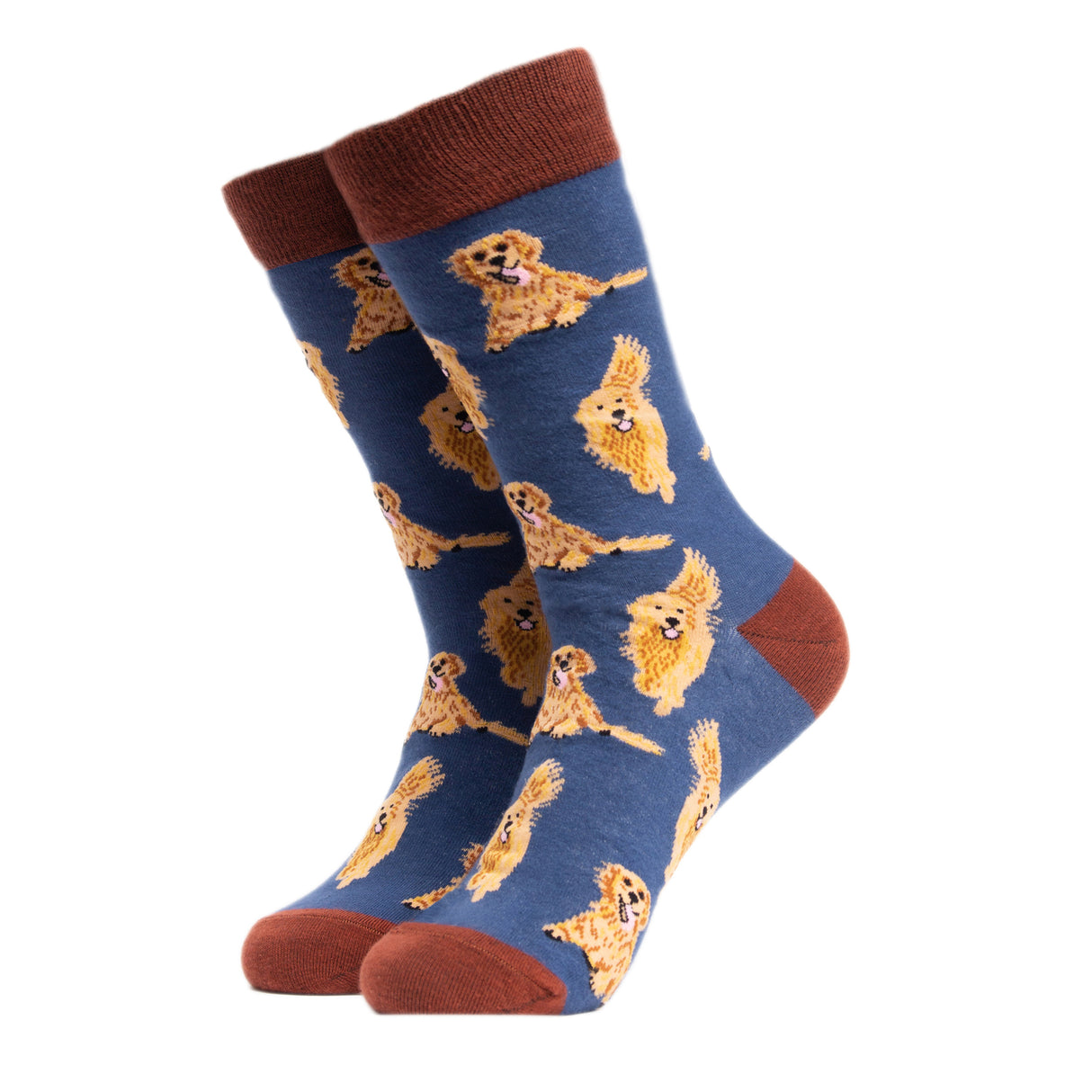 Golden Retriever Hund Soctopus Socken in 37-42 im Paar