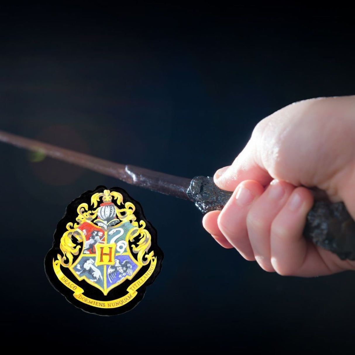 Harry Potter Hogwarts Logo Kissen