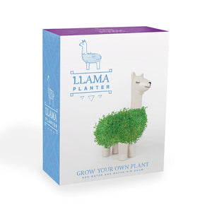 Lama Blumentopf mit Chia Samen