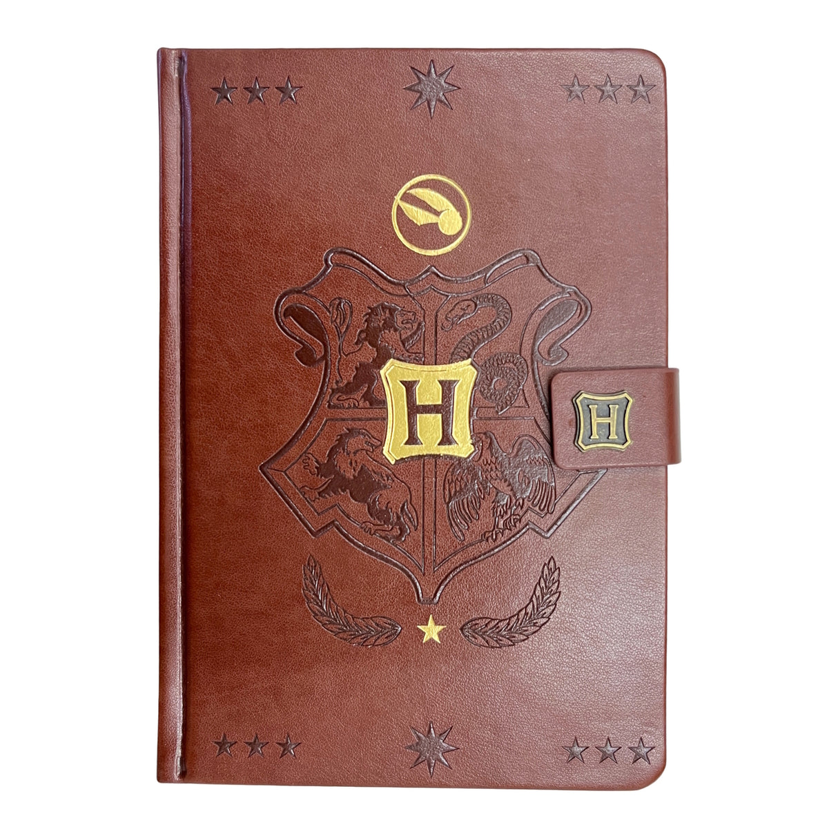 Harry Potter Quidditch Notizbuch mit 240 linierten Seiten