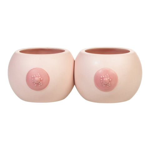 Brüste Blumentopf kleine Titten Pflanzkübel aus Keramik im 2er-Set