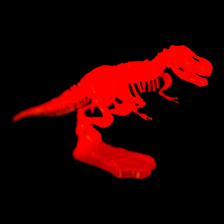 DIY Dinosaurier Skelett Bausatz Glow in the Dark Dino in zufälliger Variante