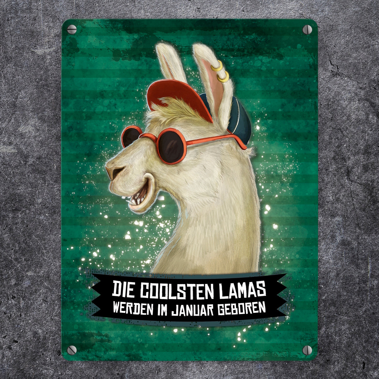 Metallschild mit Spruch: Die coolsten Lamas werden ...