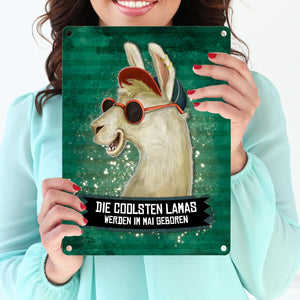 Metallschild mit Spruch: Die coolsten Lamas werden im Mai geboren