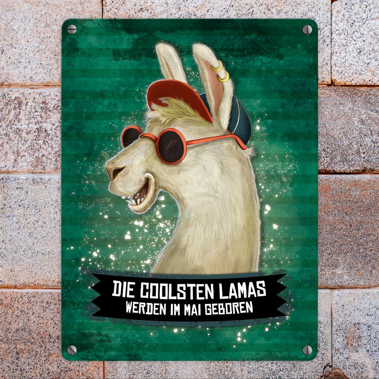 Metallschild mit Spruch: Die coolsten Lamas werden im Mai geboren