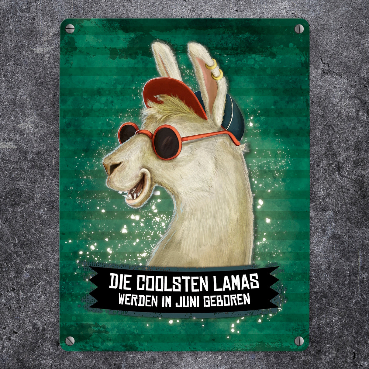 Metallschild mit Spruch: Die coolsten Lamas werden im Juni geboren