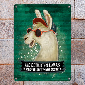 Metallschild mit Spruch: Die coolsten Lamas werden im September geboren