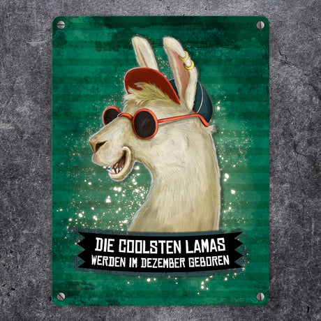 Metallschild mit Spruch: Die coolsten Lamas werden im Dezember geboren