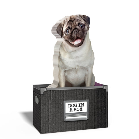 Dog in a Box Haftnotizen mit 150 Blatt