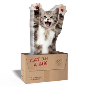 Cat in a Box Haftnotizen mit 150 Blatt