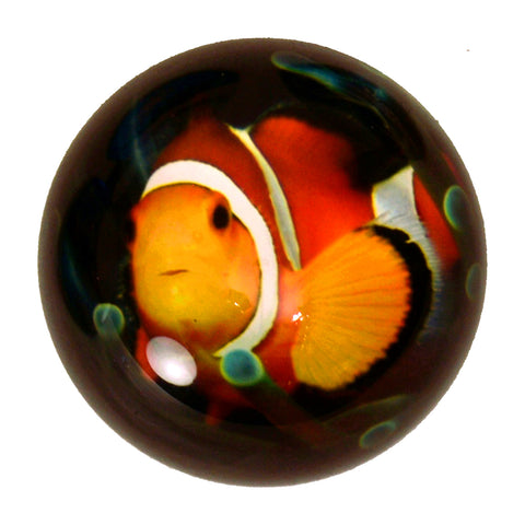 Clownfisch Briefbeschwerer