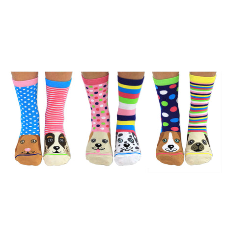 Pawsome Hunde Oddsocks Socken in 37-42 im 6er Set