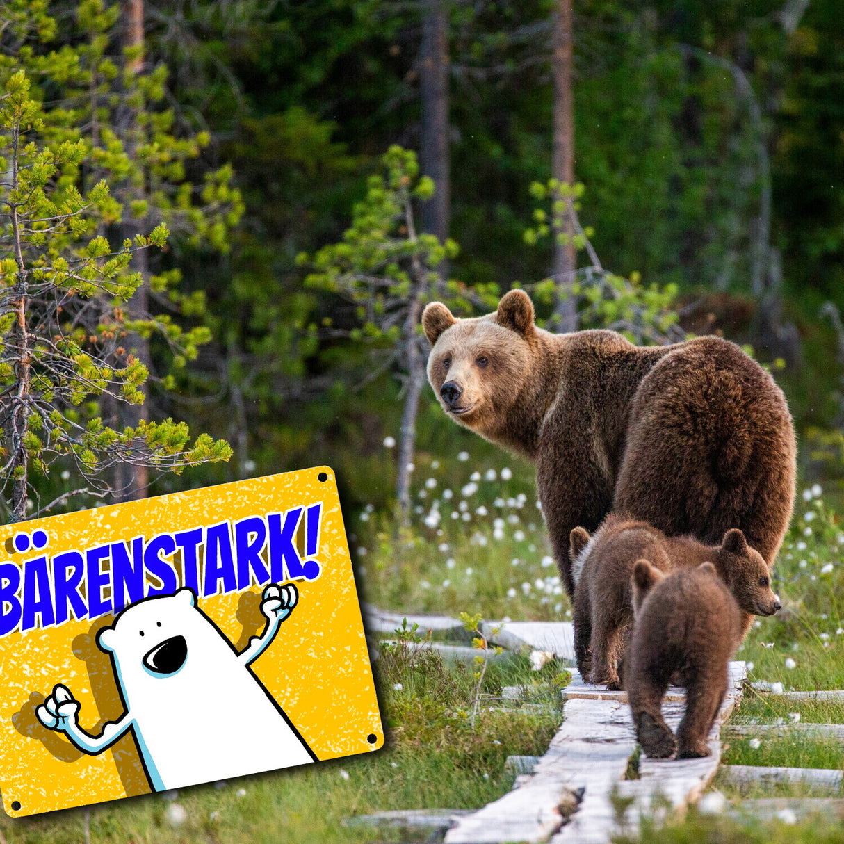 Metallschild mit Bärenmotiv: Bärenstark Schild mit lustigem Comic Bär