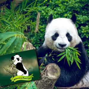 Pandabär Metallschild Willkommen im Panda-Land