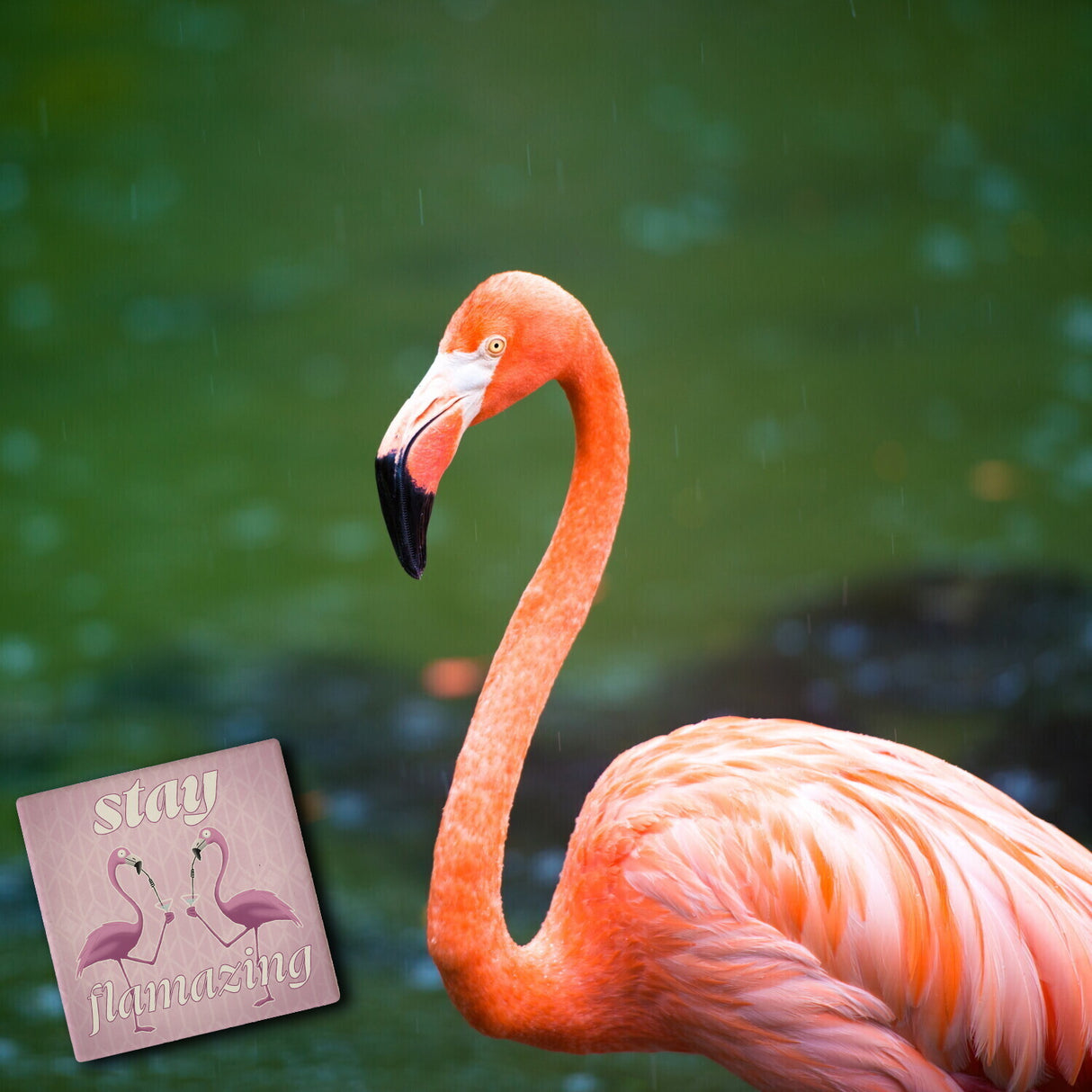 Stay flamazing Flamingo Untersetzer