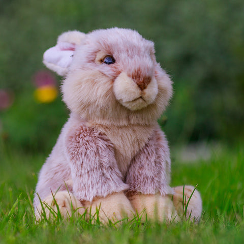 Hase Animigos Kuscheltier